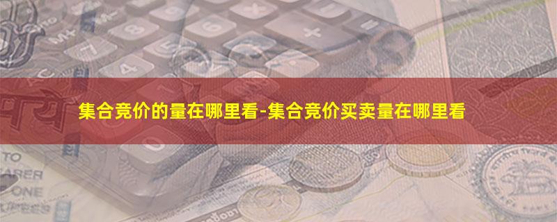 集合竞价的量在哪里看-集合竞价买卖量在哪里看