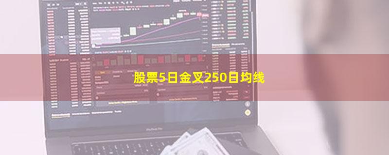 股票5日金叉250日均线