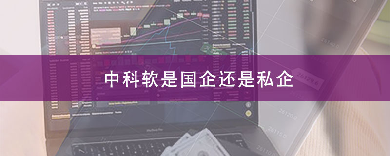 中科软是国企还是私企