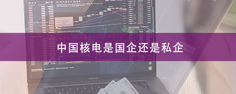 中国核电是国企？央企还是私企？