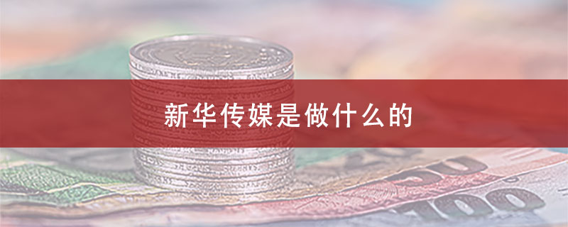 新华传媒是做什么的？