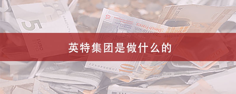 英特集团是做什么的