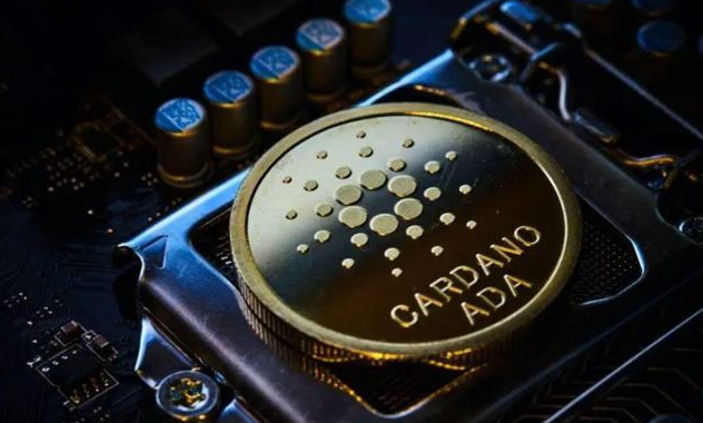 ADA Cardano 艾达币简介：