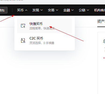国内usdt怎么充值到平台（usdt怎么充币流程）