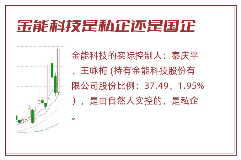 金能科技是私企还是国企
