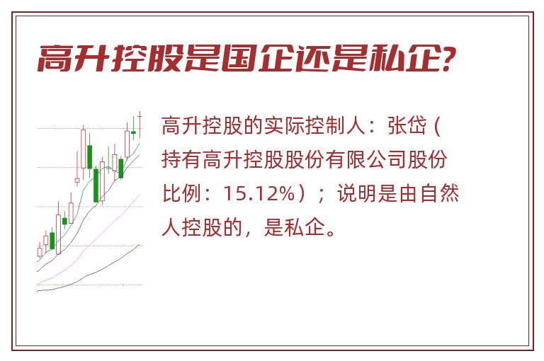 高升控股是国企还是私企?.jpg 高升控股,高升控股是国企还是私企.jpg
