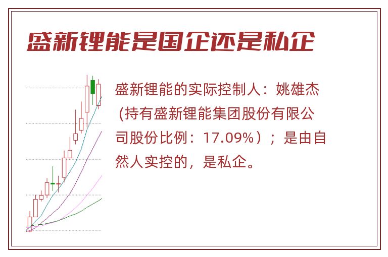 盛新锂能是国企还是私企.jpg 盛新锂能,盛新锂能是国企还是私企.jpg
