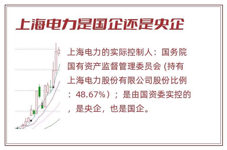 上海电力是国企还是央企