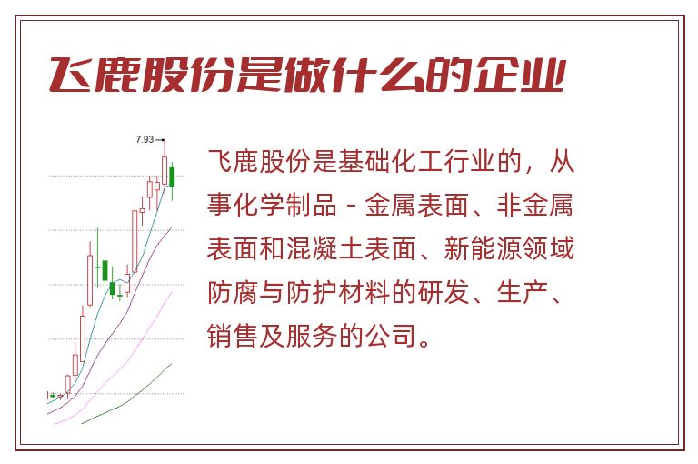 飞鹿股份是做什么的企业