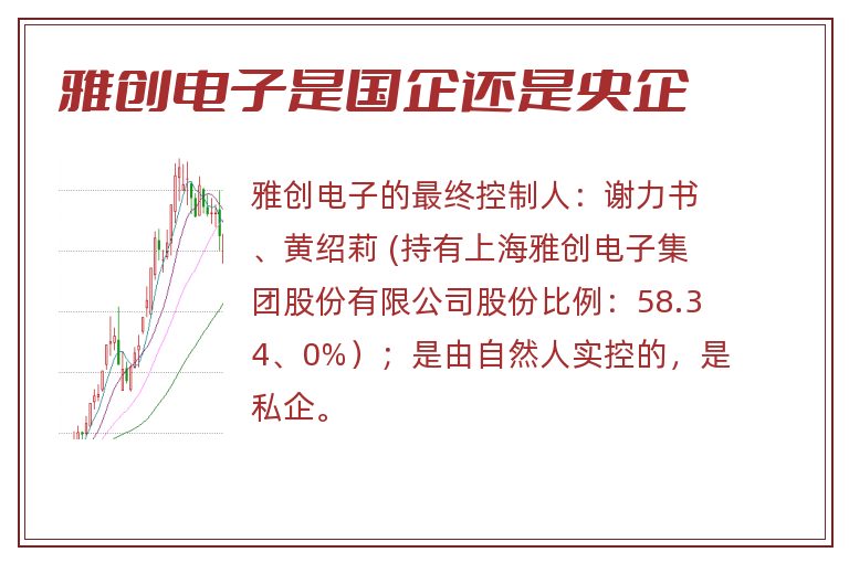 雅创电子是国企还是央企