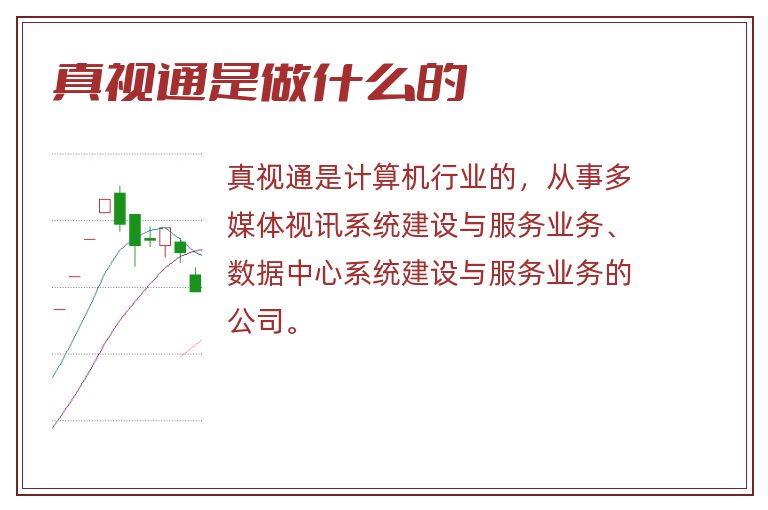 真视通是做什么的.jpg 真视通,真视通是做什么的.jpg