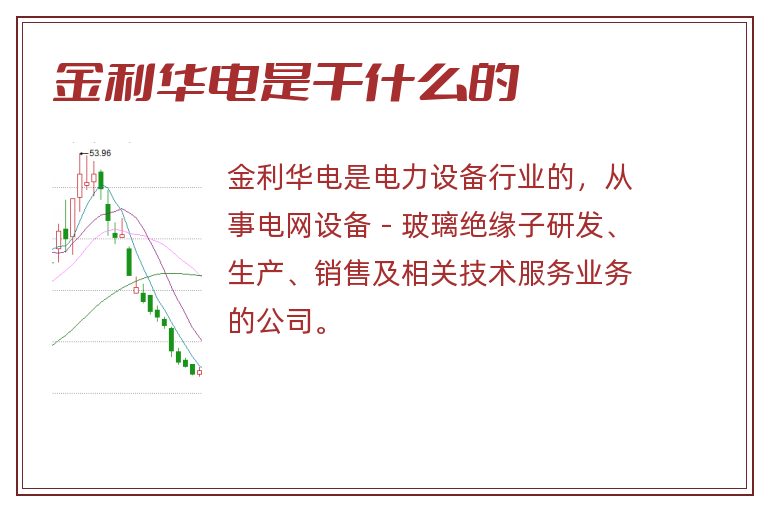 金利华电是干什么的