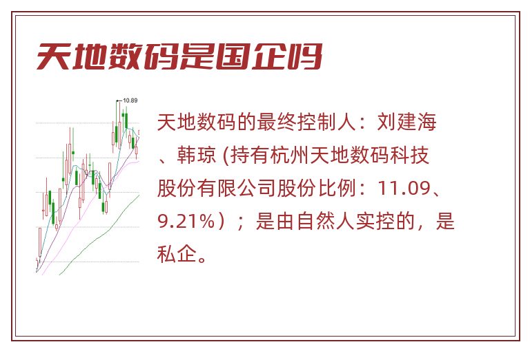 天地数码是国企吗
