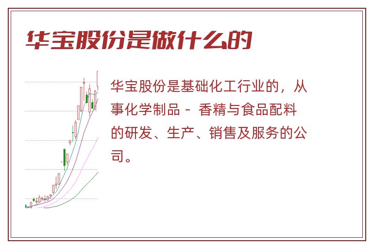 华宝股份是做什么的