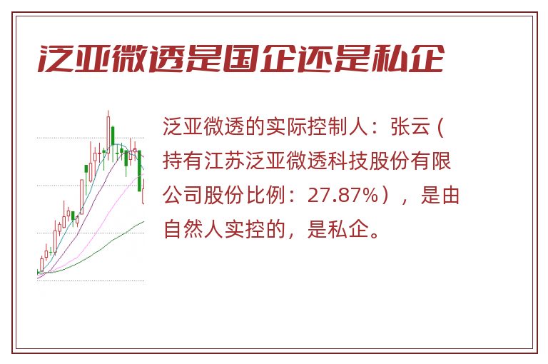 泛亚微透是国企还是私企