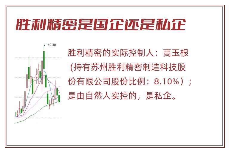 胜利精密是国企还是私企.jpg 胜利精密,胜利精密是国企吗,胜利精密是国企还是私企.jpg