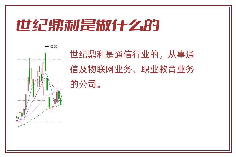 世纪鼎利是做什么的