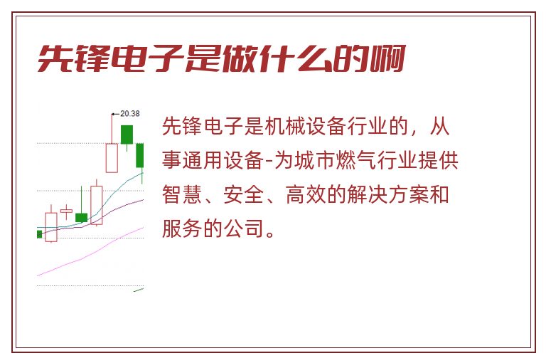 先锋电子是做什么的啊