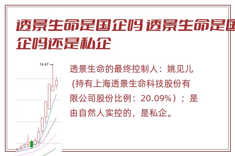 透景生命是国企吗 透景生命是国企