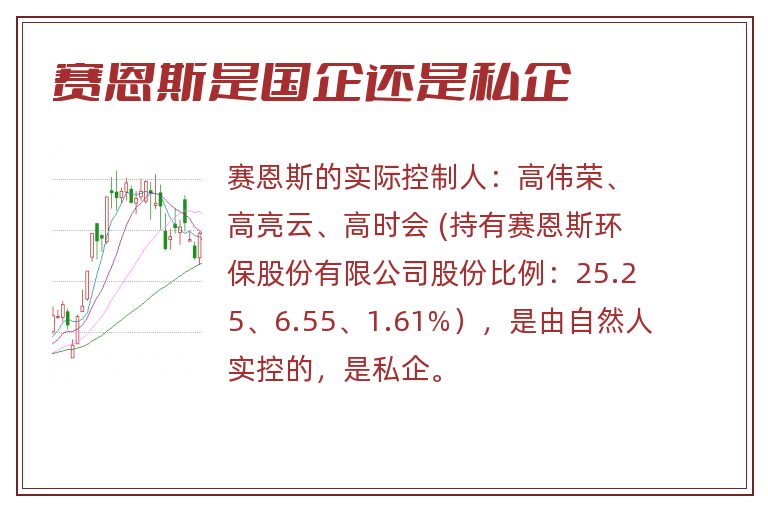 赛恩斯是国企还是私企