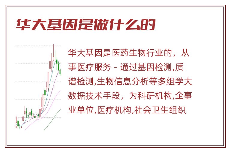 华大基因是做什么的