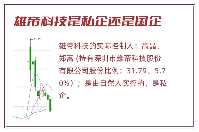 雄帝科技是私企还是国企