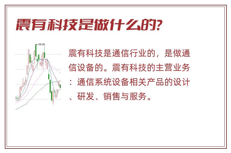 震有科技是做什么的？