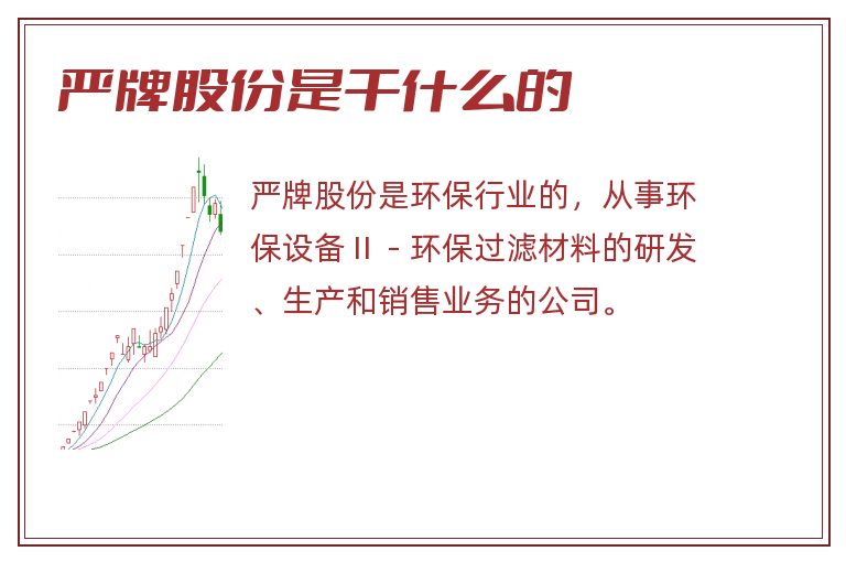 严牌股份是干什么的