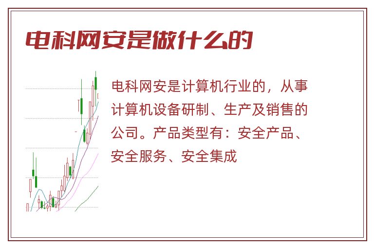 电科网安是做什么的
