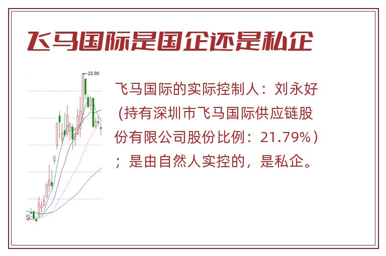飞马国际是国企还是私企.jpg 飞马国际,飞马国际是国企还是私企.jpg