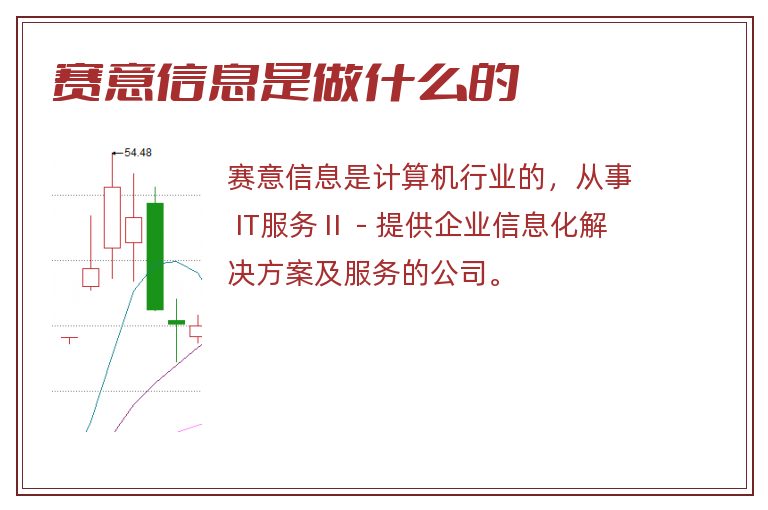 赛意信息是做什么的