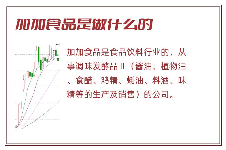 加加食品是做什么的.jpg 加加食品,加加食品是做什么的.jpg