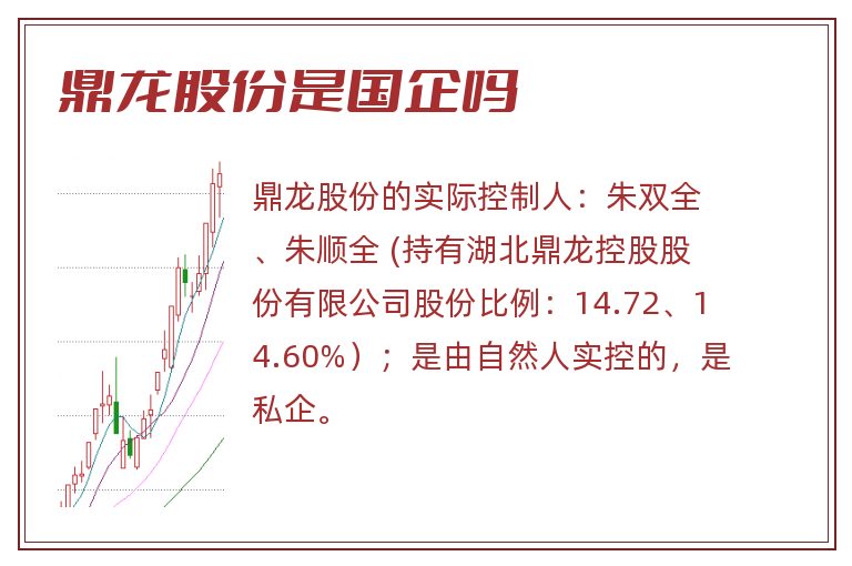 鼎龙股份是国企吗