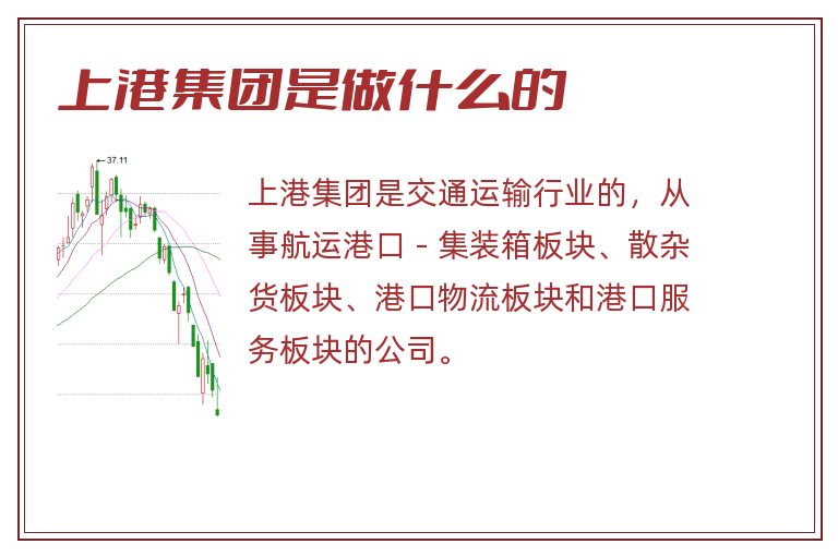 上港集团是做什么的