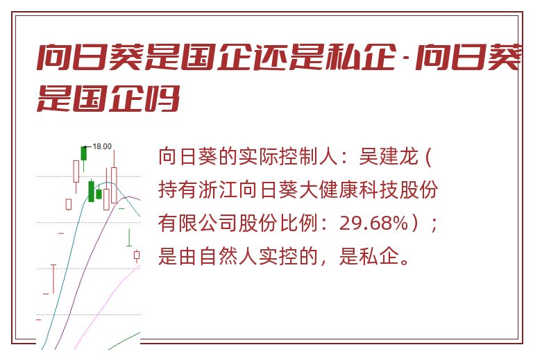 向日葵是国企还是私企 - 向日葵是国企吗.jpg 向日葵,向日葵是国企还是私企,向日葵是国企吗.jpg