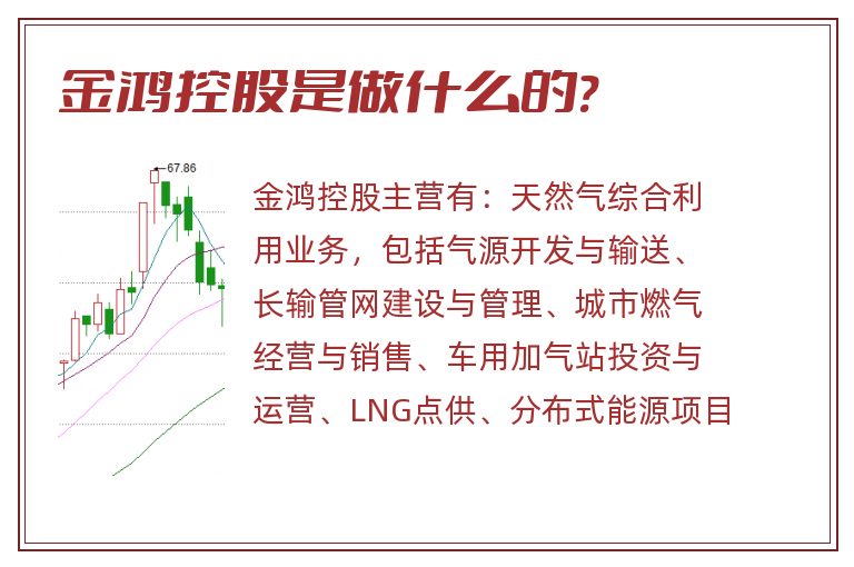 金鸿控股是做什么的?.jpg 金鸿控股,金鸿控股是做什么的.jpg