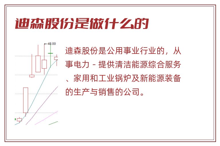 迪森股份是做什么的