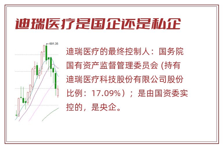迪瑞医疗是国企还是私企