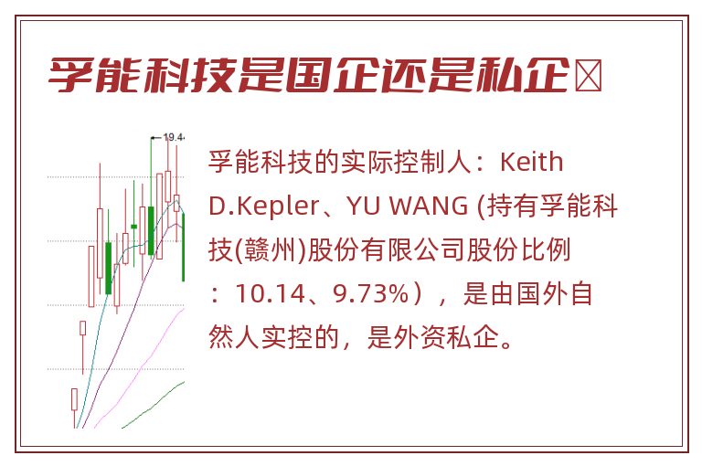 孚能科技是国企还是私企	