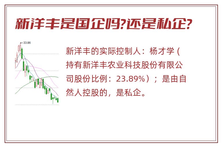 新洋丰是国企吗？还是私企？