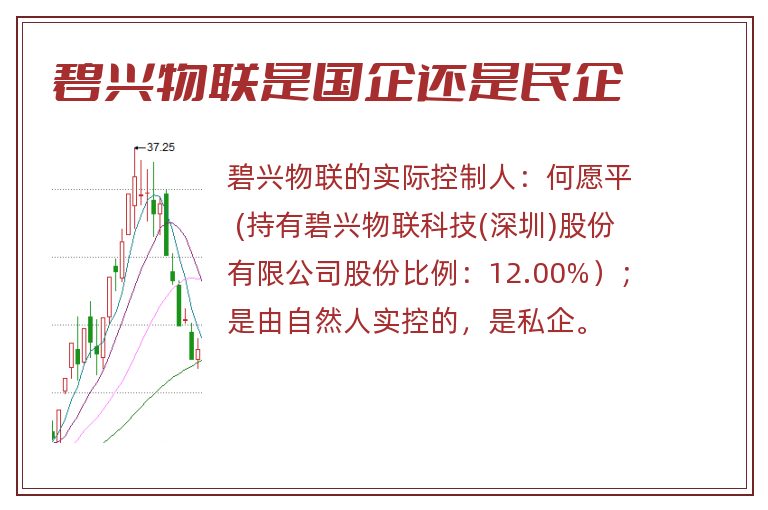 碧兴物联是国企还是民企.jpg 碧兴物联,碧兴物联是国企还是民企.jpg