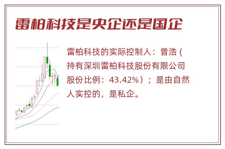 雷柏科技是央企还是国企