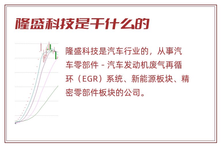 隆盛科技是干什么的
