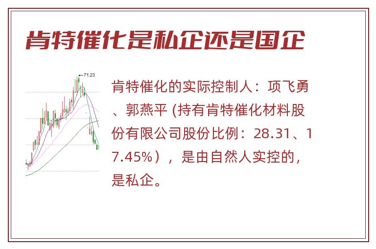 肯特催化是私企还是国企
