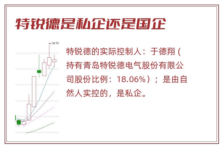 特锐德是私企还是国企