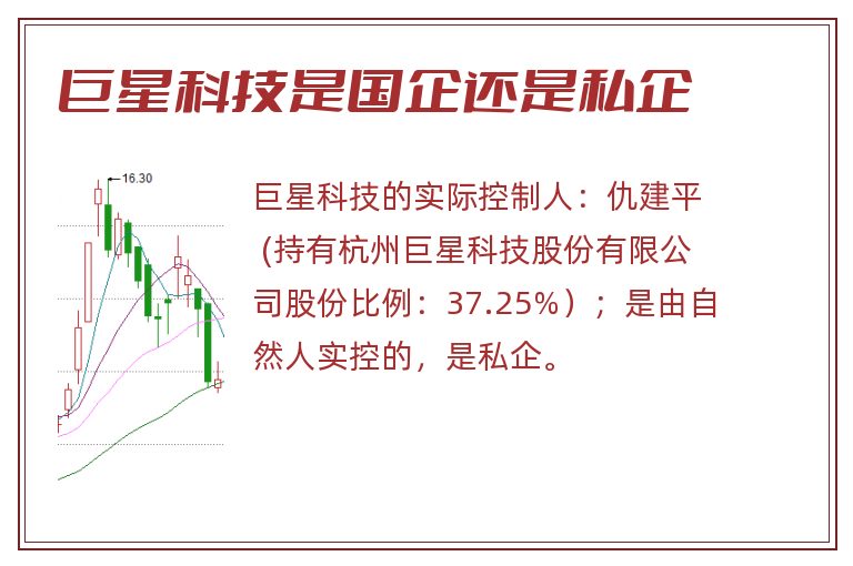 巨星科技是国企还是私企