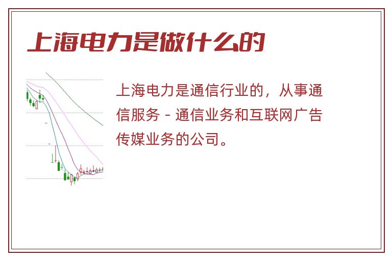 上海电力是做什么的
