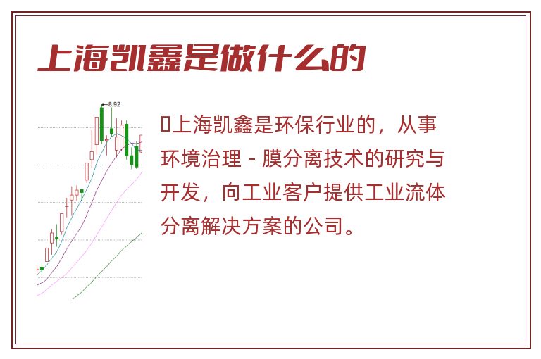 上海凯鑫是做什么的