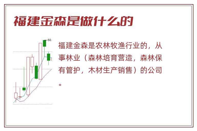 福建金森是做什么的.jpg 福建金森,福建金森是做什么的.jpg