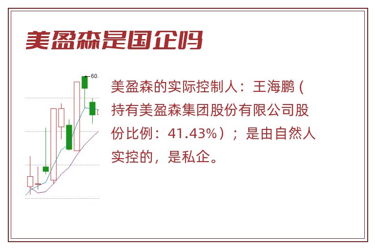 美盈森是国企吗